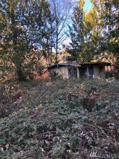 22622 Blue Ox Trail - Photo 1