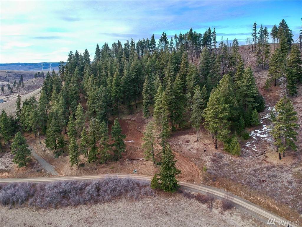 14-Lot Low Rd - Photo 1