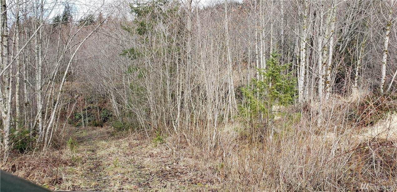 7 2500 Rd - Photo 1