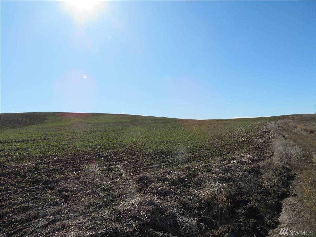 0 Cottonwood Creek Rd - Photo 1
