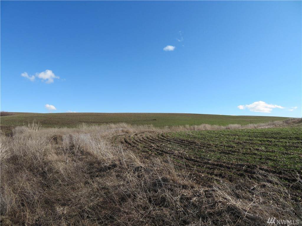 0 Cottonwood Creek Rd - Photo 1