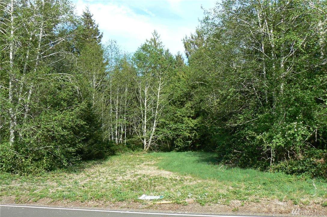0-Lot 19 Willapa Bay Estates - Photo 1