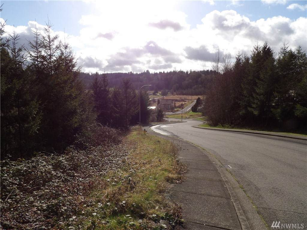 1408 Maple Valley Dr - Photo 1