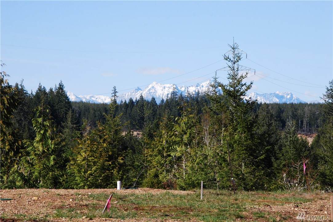 0-Lot 3 Berry Ridge Rd - Photo 1