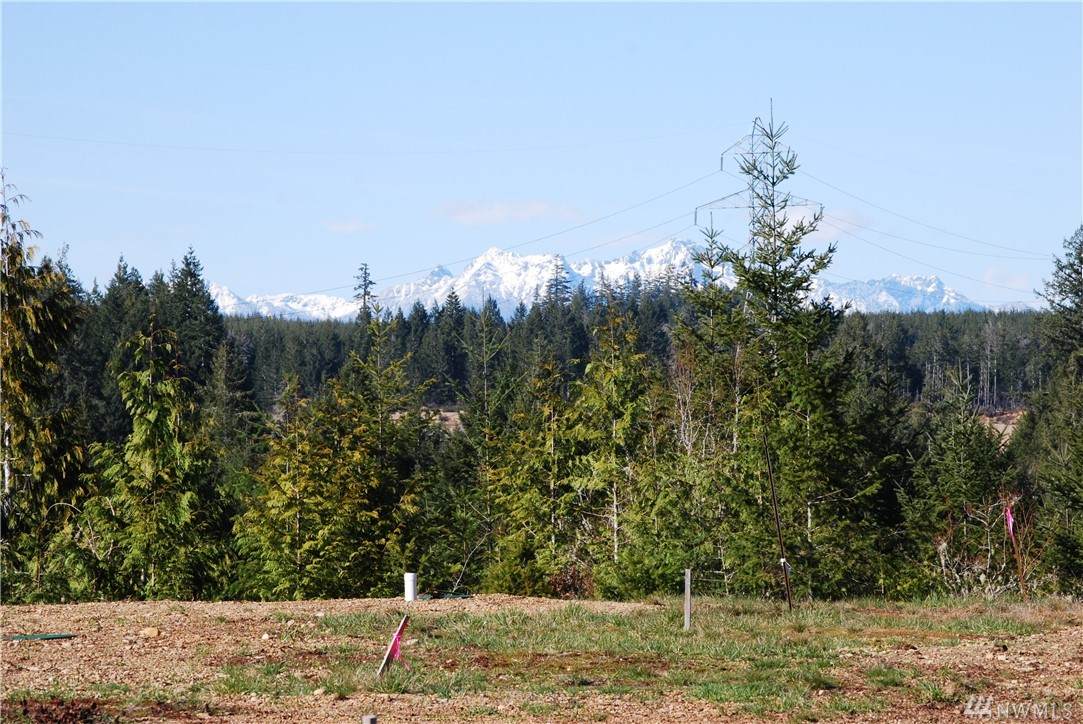 0-Lot 4 Berry Ridge Rd - Photo 1