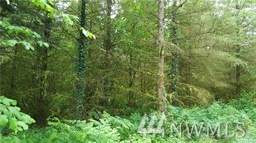 0 Avery Road - Photo 1