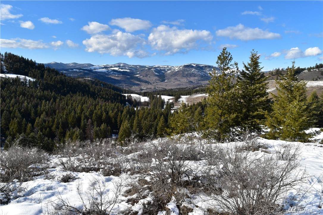 0-Lot 4 Tedesco Rd - Photo 1