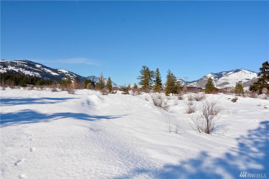4-Lot Wolf Den Rd - Photo 1