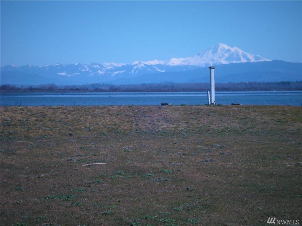 0 Saltsprings - Photo 1