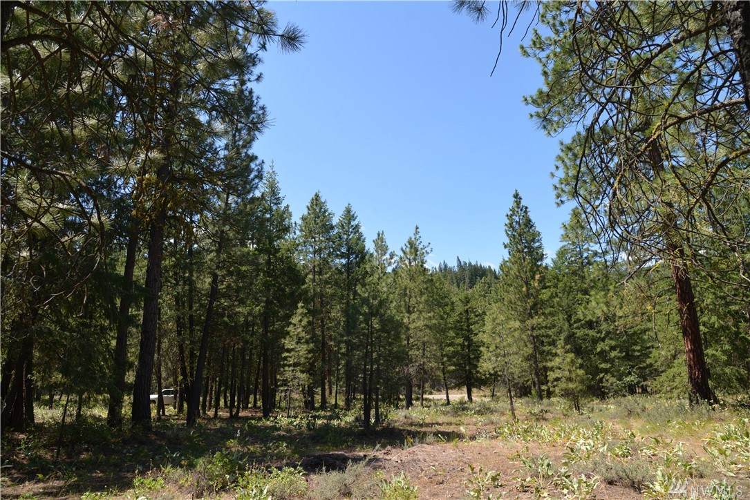 2 Goshawk Lane - Photo 1