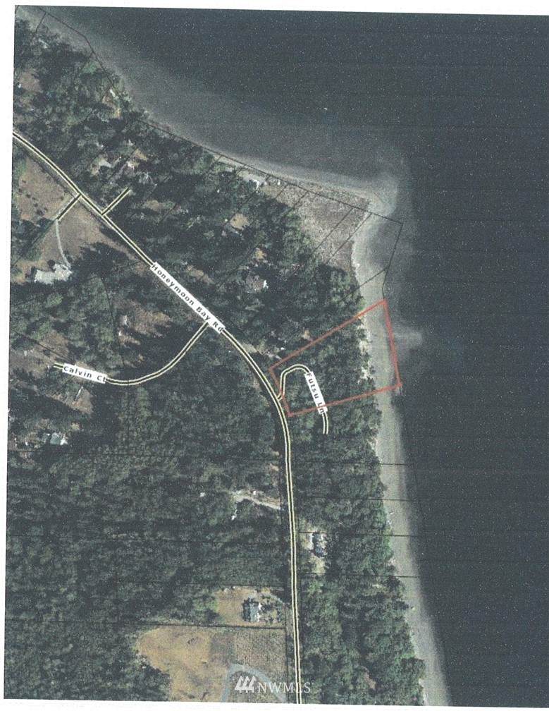 4481 Fustu Lane - Photo 1