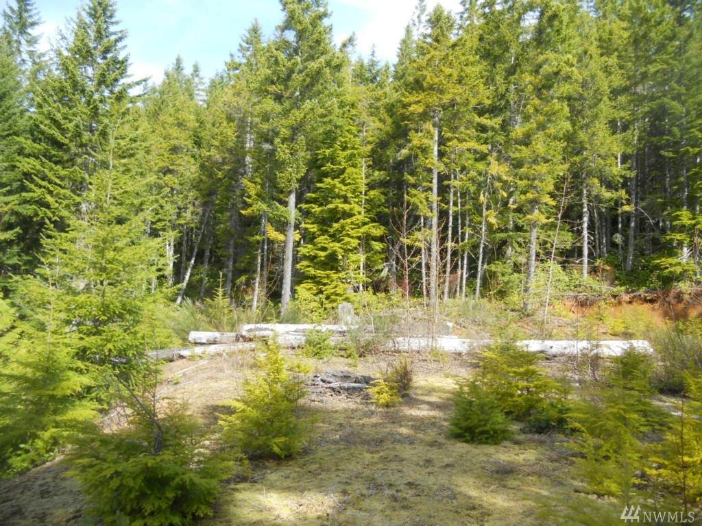 3701 Dow Mountain Rd - Photo 1 3701 Dow Mountain Rd - Photo 1