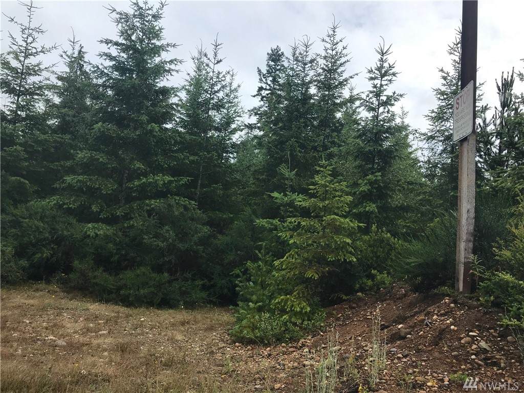 2 Dewatto Hills Rd - Photo 1