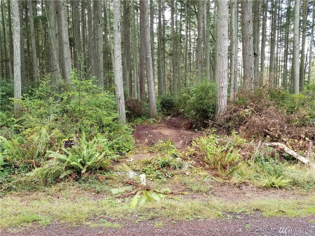 0 Pilchuck Rd - Photo 1