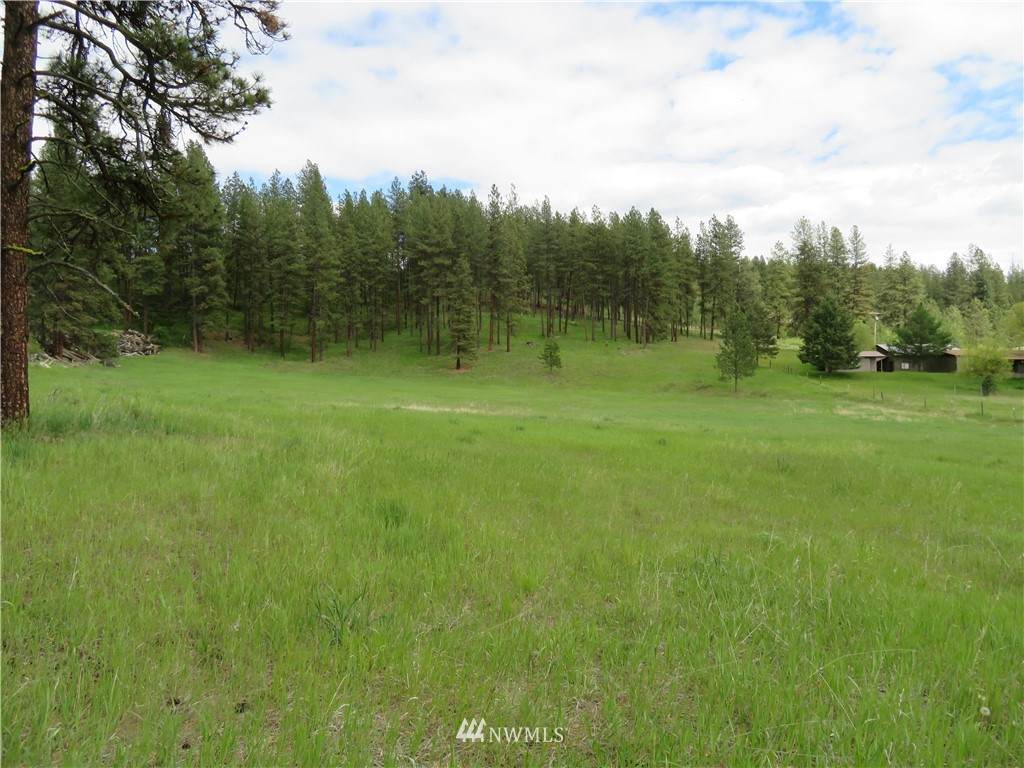 0 Klondike Road - Photo 1