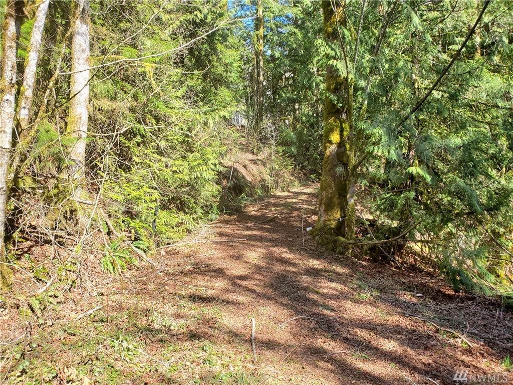 761 Duckabush Dr - Photo 1