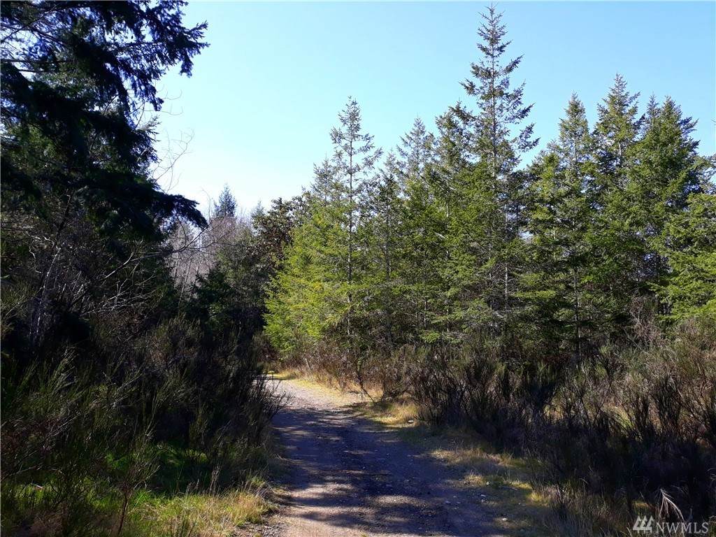 0-lot #30 Lakeshore Dr - Photo 1 0-lot #30 Lakeshore Dr - Photo 1