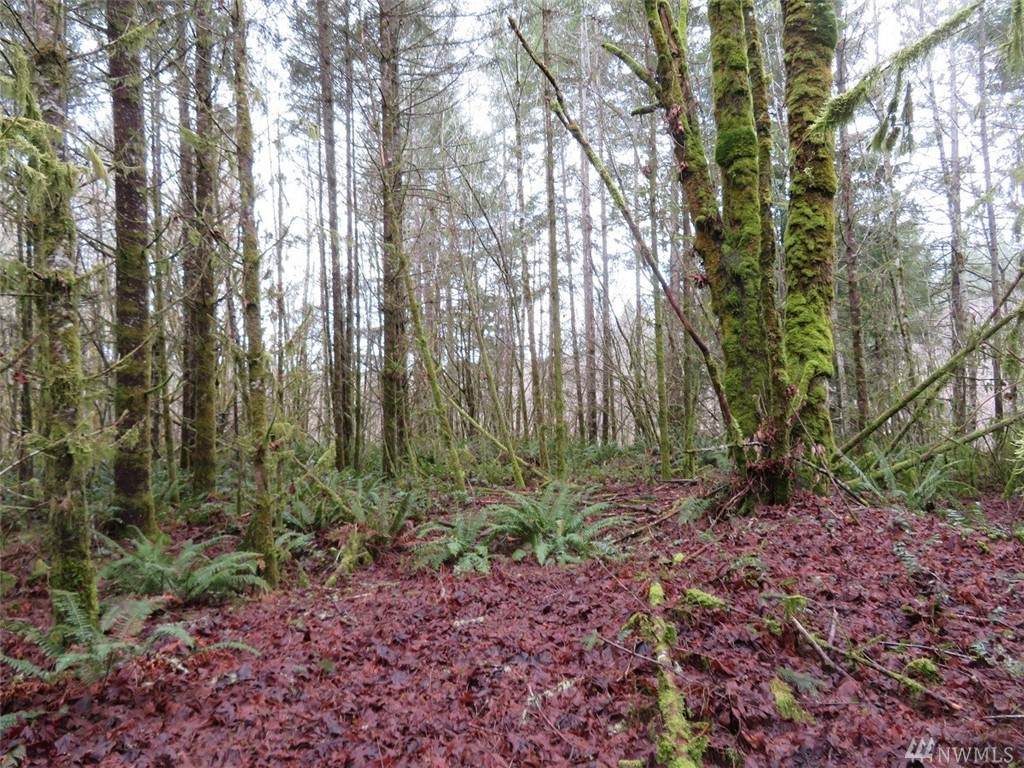 0-XXX Berry Rd - Photo 1