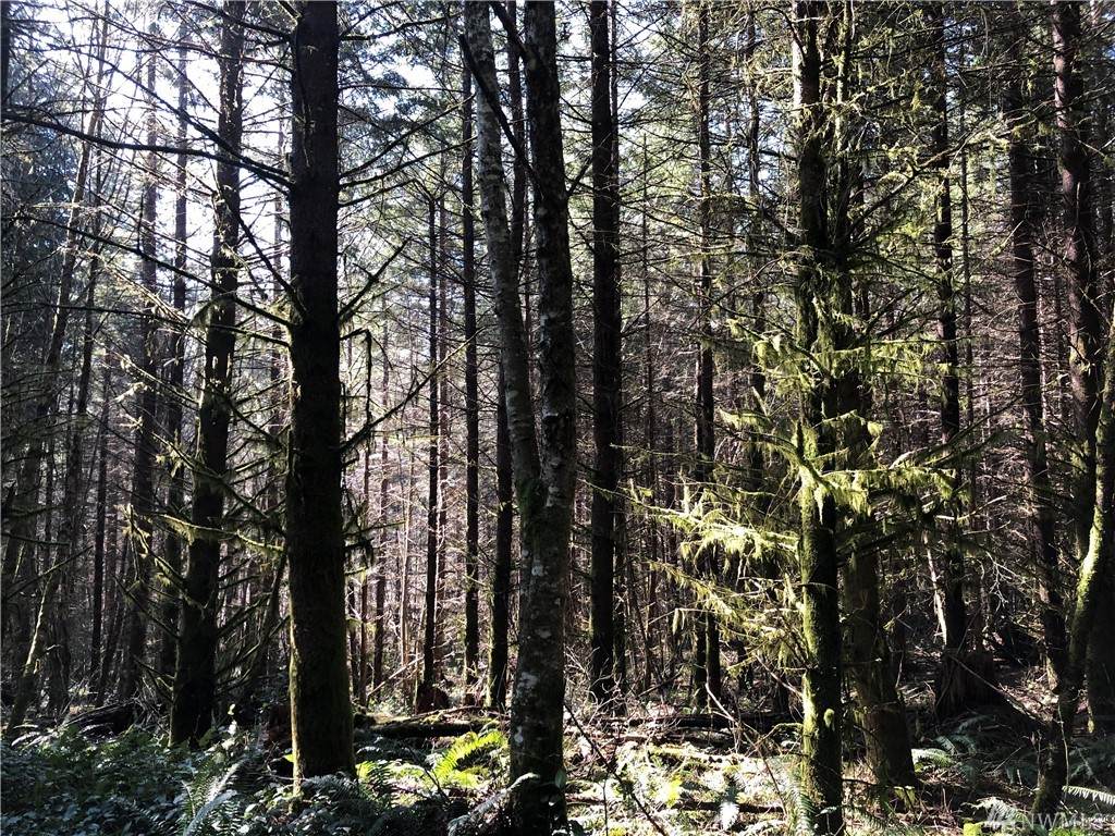 266-xx Rawson Rd - Photo 1