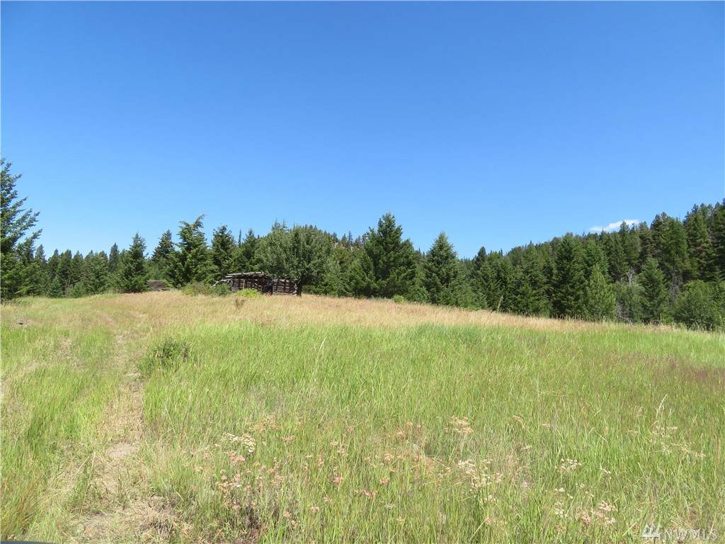 0-Lot 6 Bonaparte Run Rd - Photo 1 0-Lot 6 Bonaparte Run Rd - Photo 1