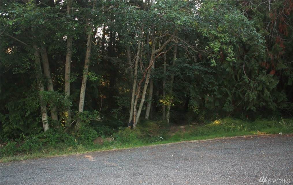 0 Halsey Dr - Photo 1 0 Halsey Dr - Photo 1