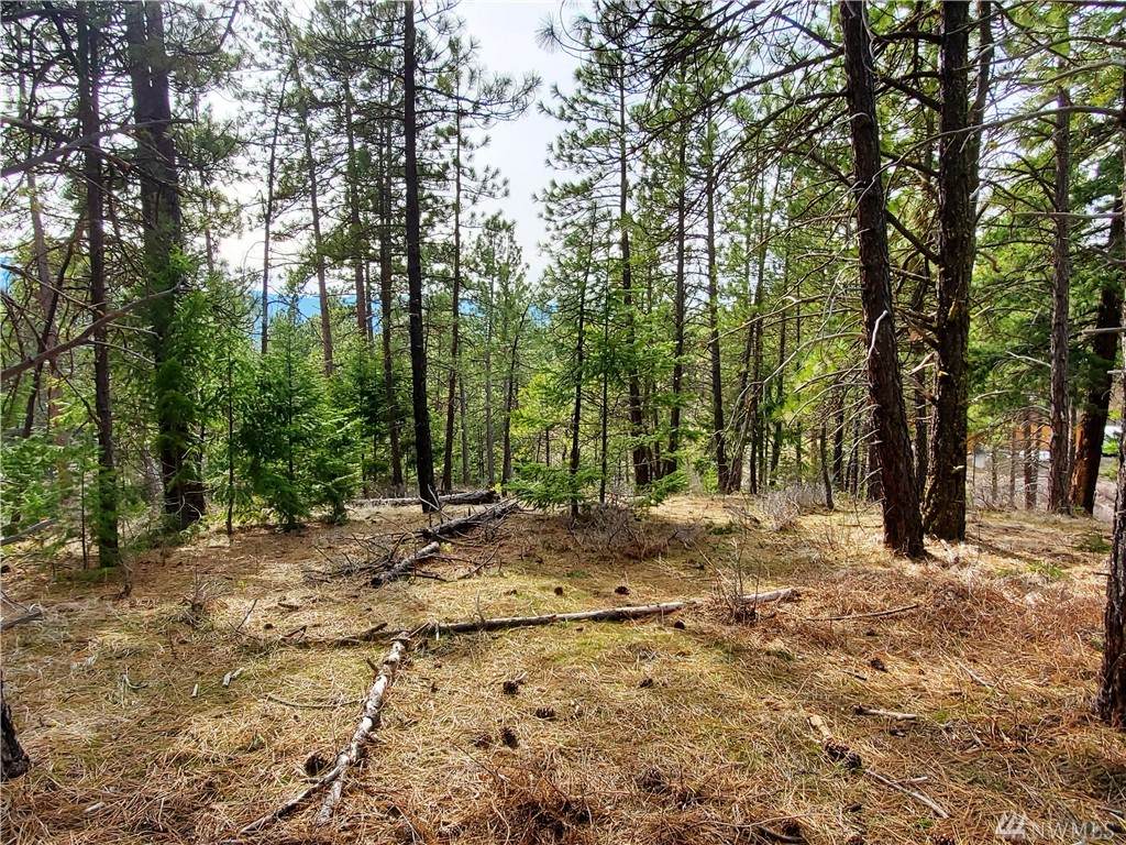 7-Lot 7 Owl Ridge Dr - Photo 1 7-Lot 7 Owl Ridge Dr - Photo 1