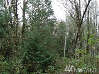 0 Lombard Rd - Photo 1