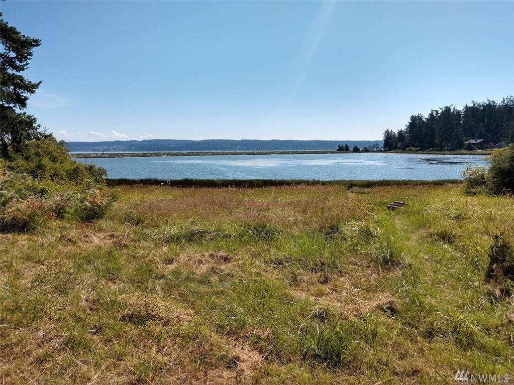487 Race Rd - Photo 1