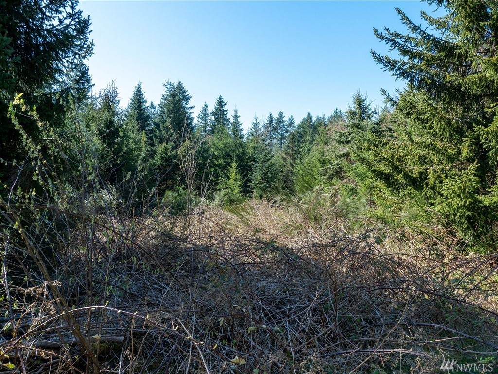 12855 Dalton Lane - Photo 1 12855 Dalton Lane - Photo 1