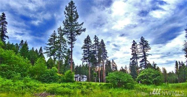 0-Lot 6 Hermitage Dr - Photo 1