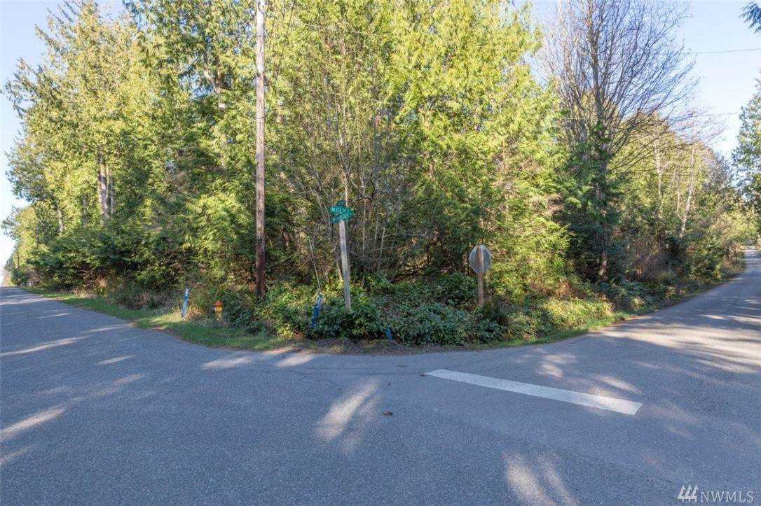 41 Moen Road - Photo 1