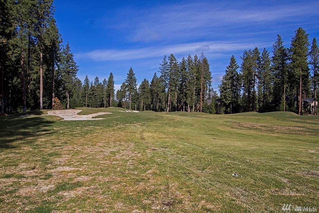 1680 Larkspur Lp - Photo 1 1680 Larkspur Lp - Photo 1