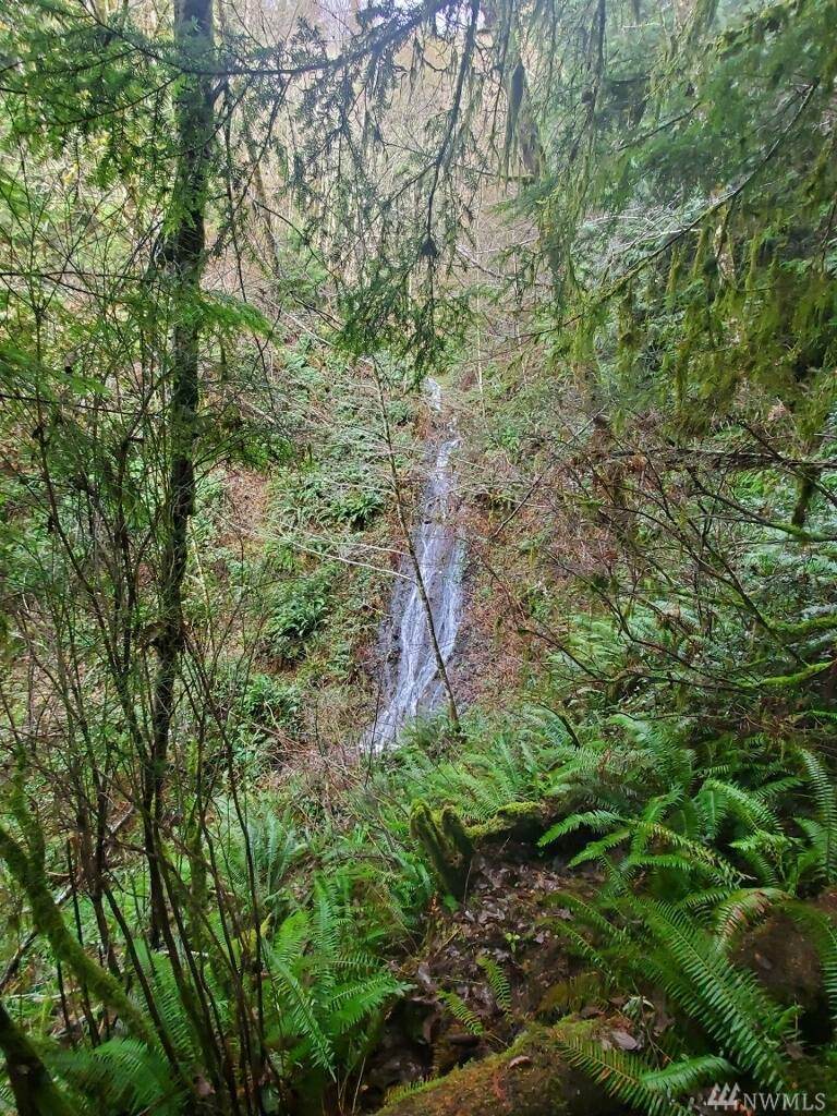 5-Lots Sr 4 - Photo 1
