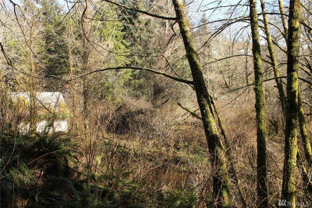 12300 Hwy 112 - Photo 1