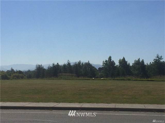 0 Cordata Parkway - Photo 1