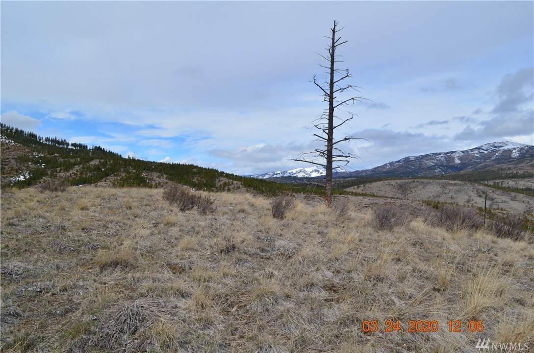 0-NNA Oklahoma Gulch Rd - Photo 1