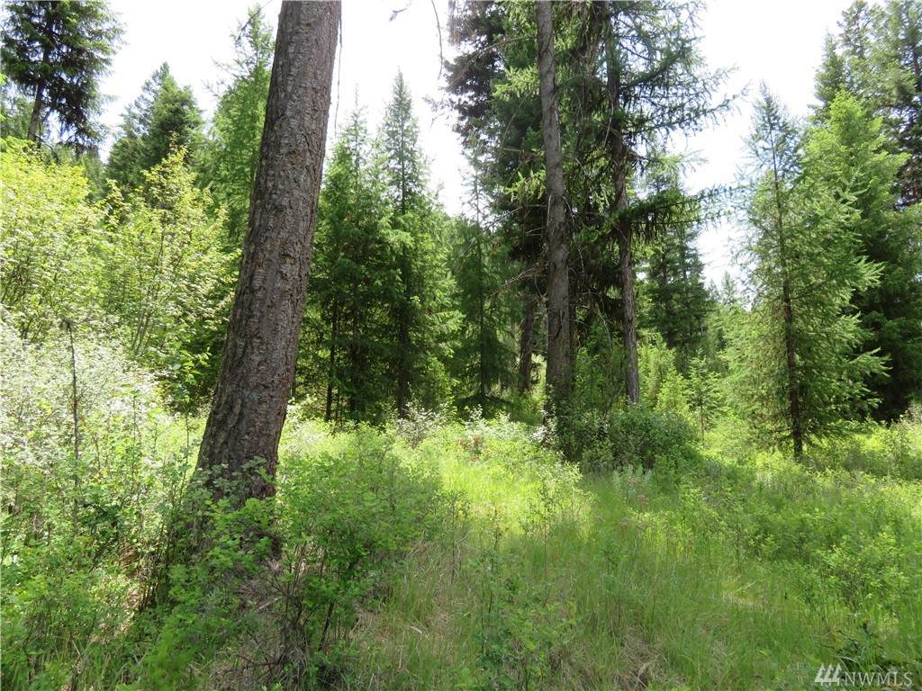 0-Lot 5 Boulder Creek Rd - Photo 1