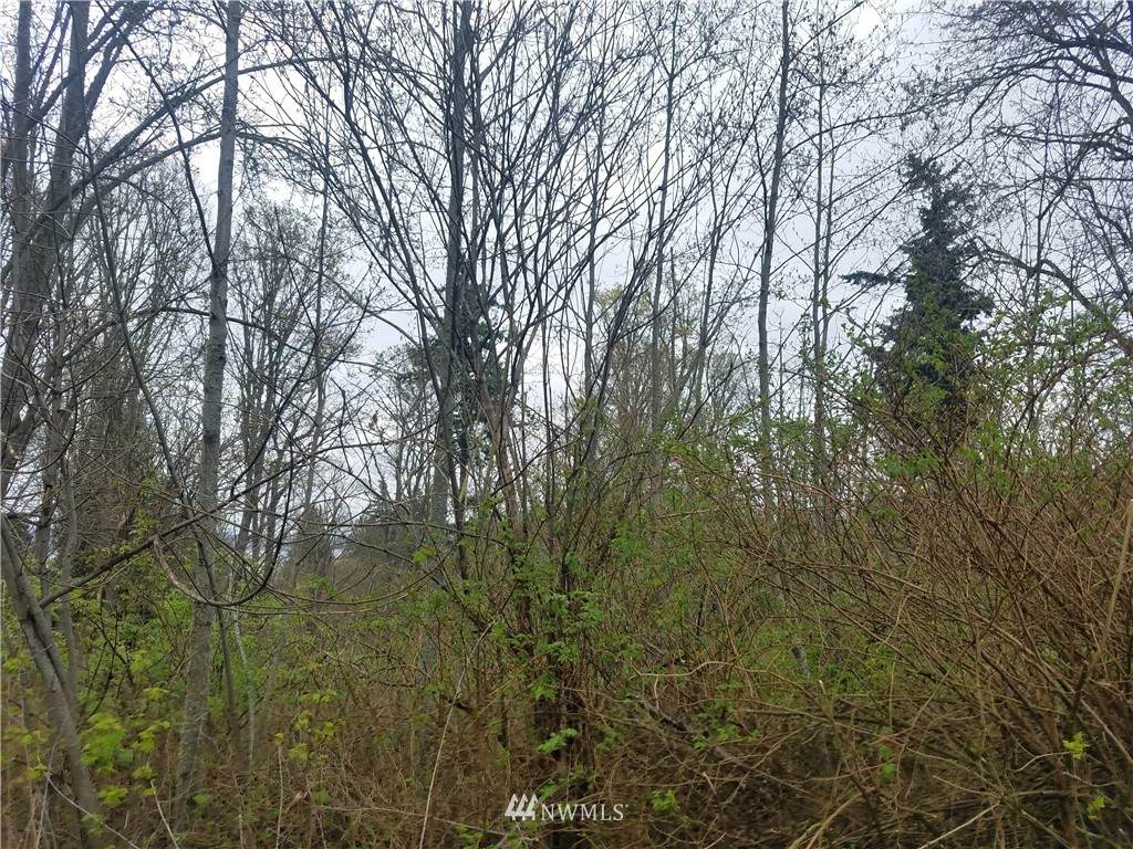 102 A Port Susan Dr - Photo 1