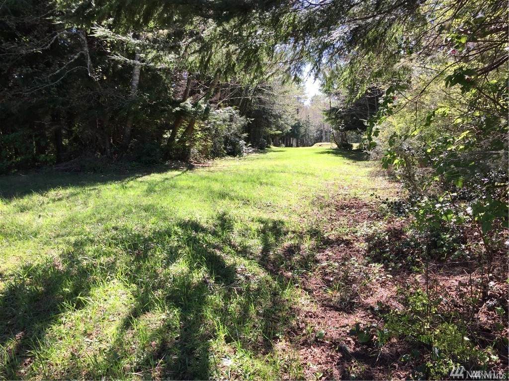 0 Cedar Lane - Photo 1