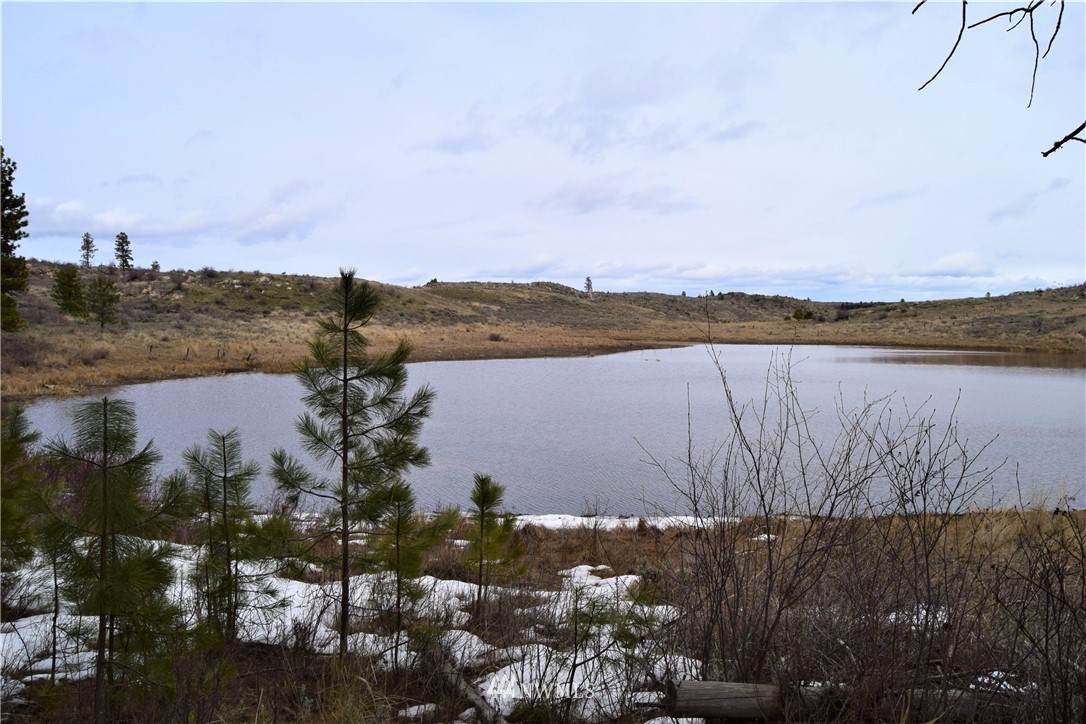 223 Cameron Lake Loop Road - Photo 1