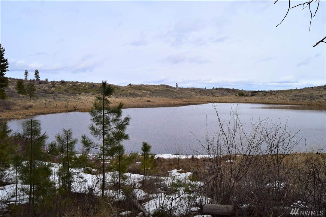 223-Q Cameron Lake Loop Rd - Photo 1 223-Q Cameron Lake Loop Rd - Photo 1