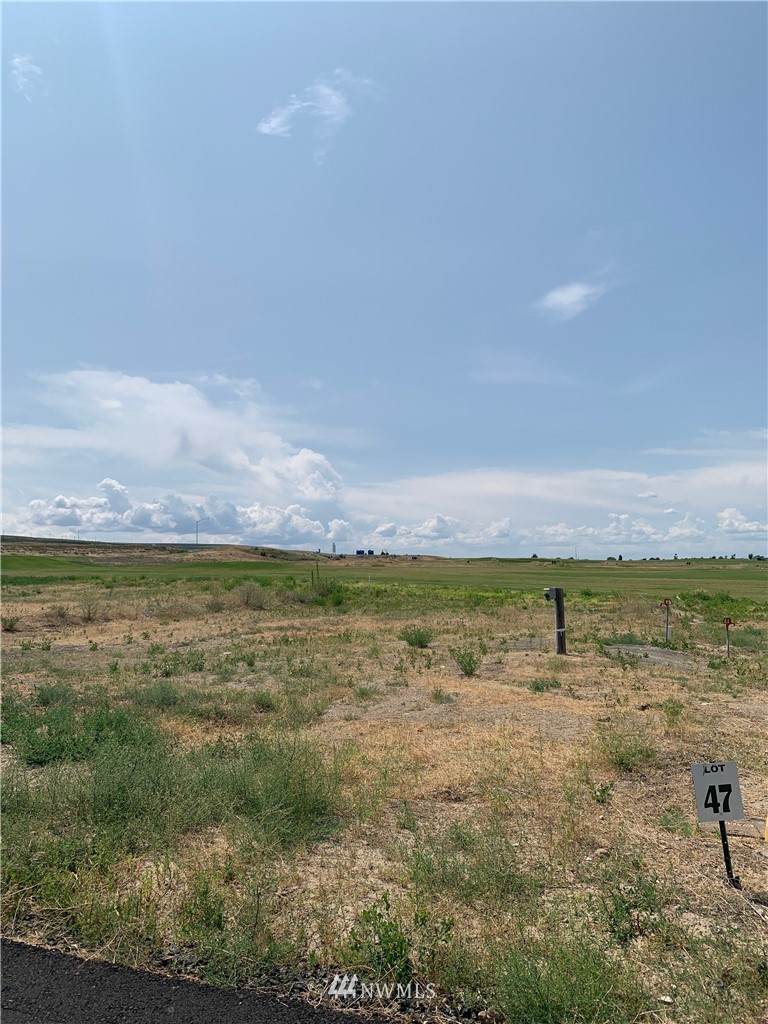 6549 Hwy 262 Lot 47 - Photo 1