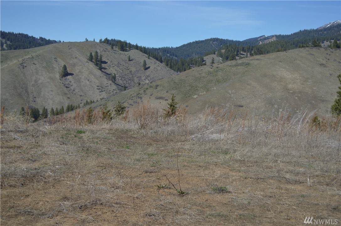 0 Ollala Canyon Rd - Photo 1 0 Ollala Canyon Rd - Photo 1