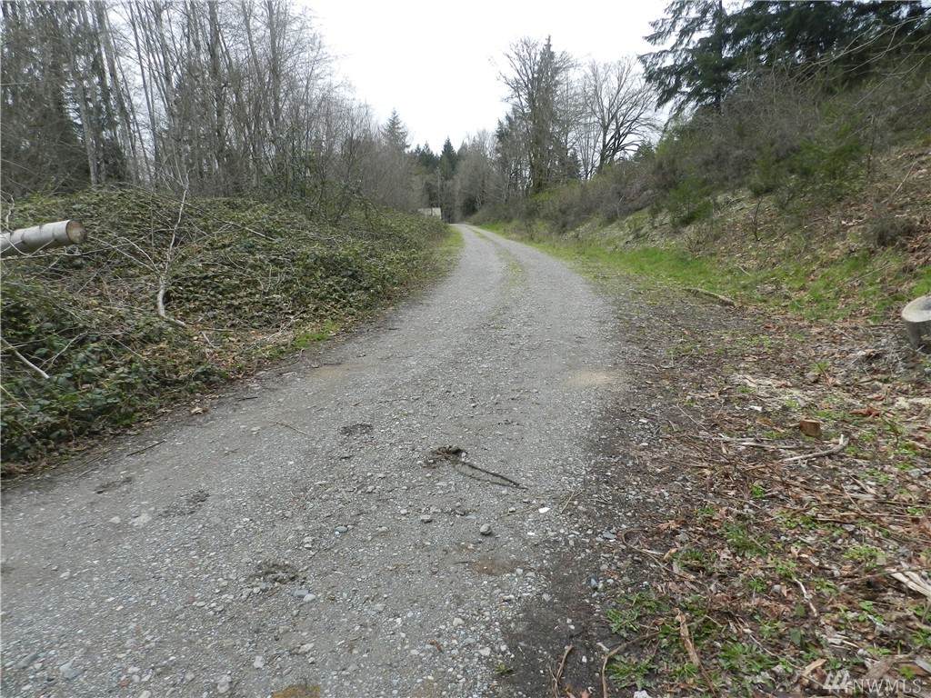 0 Maple Rd - Photo 1 0 Maple Rd - Photo 1