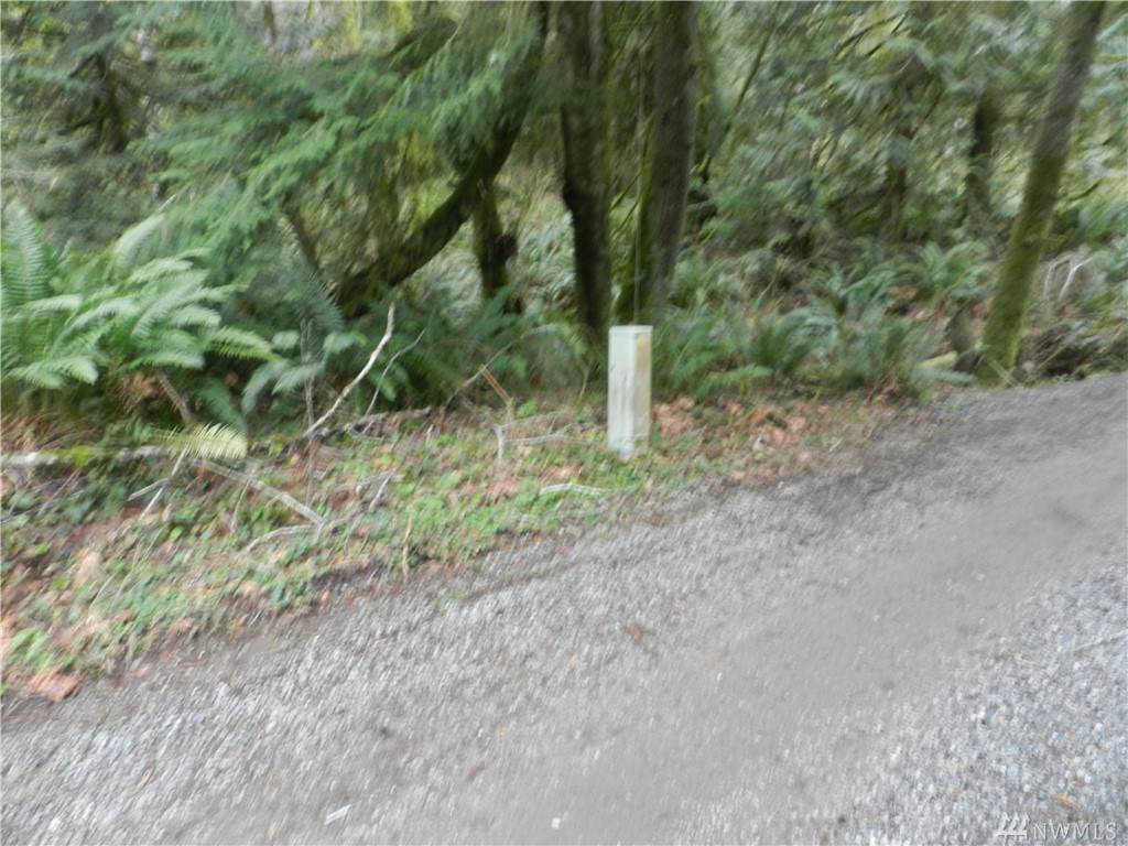 12784 Eastbrook Dr - Photo 1 12784 Eastbrook Dr - Photo 1