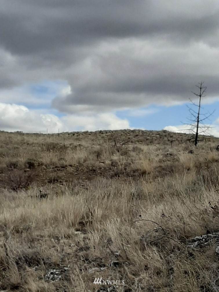 0 Springs Canyon Road - Photo 1