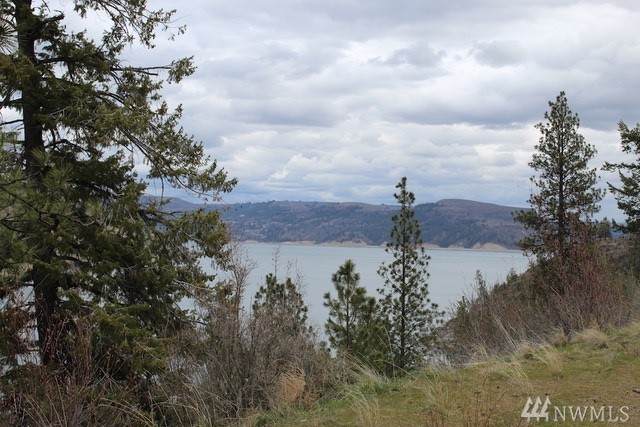 39410 Bluff Overlook Point - Photo 1 39410 Bluff Overlook Point - Photo 1