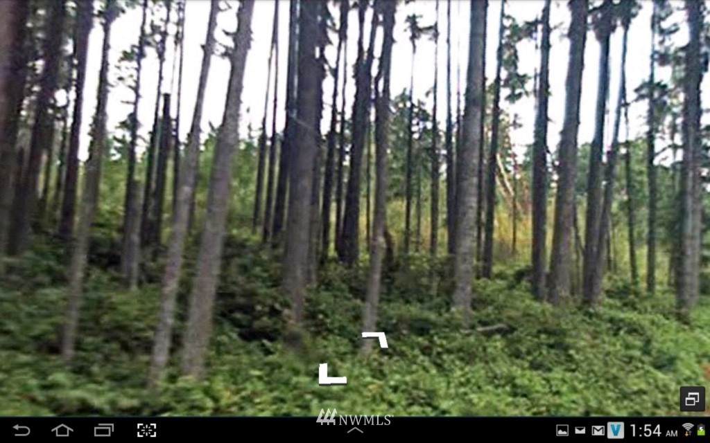 12622 Key Peninsula Highway - Photo 1