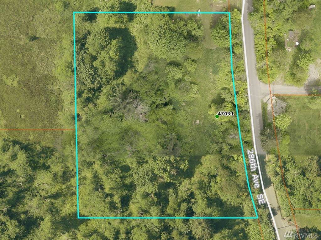 47031 286th Ave - Photo 1