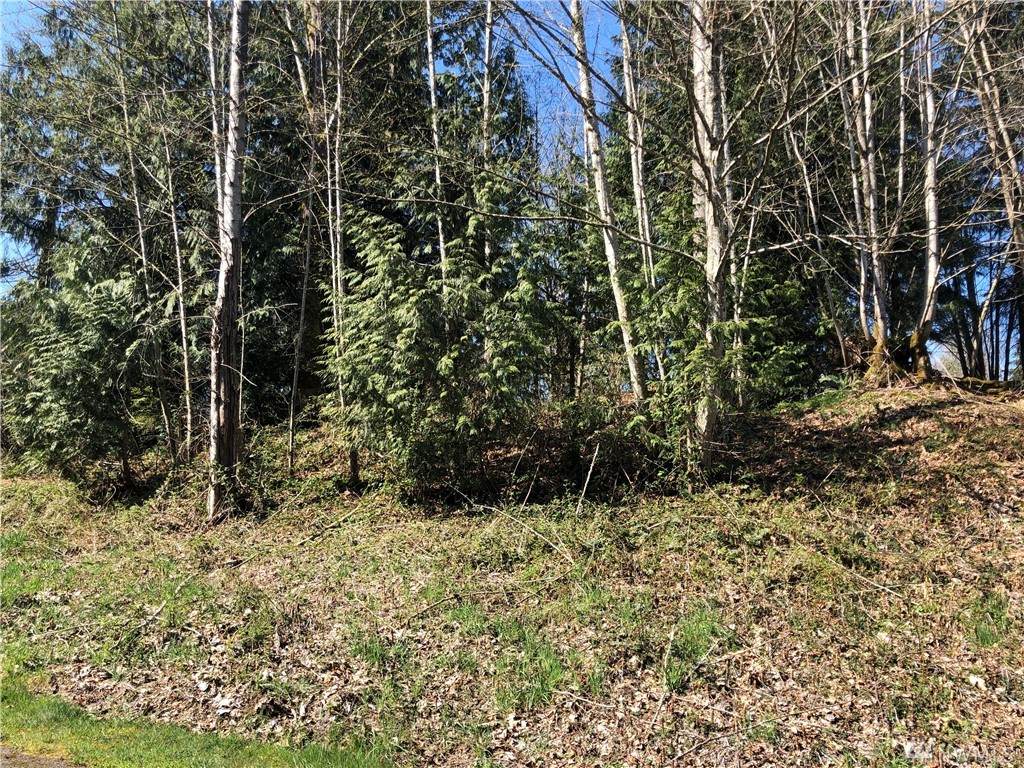 0-XXXX 213th Ave - Photo 1